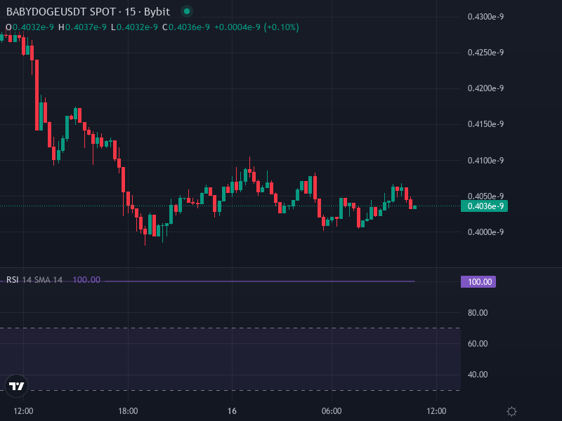 BabyDoge price chart with technical indicators