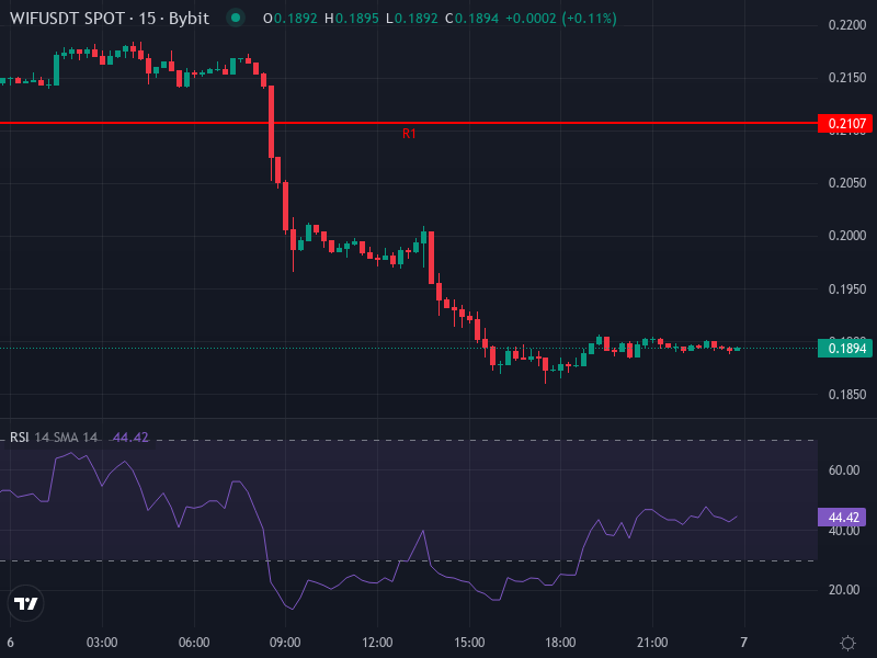 Dogwifhat price chart showing recent collapse and indicator placements